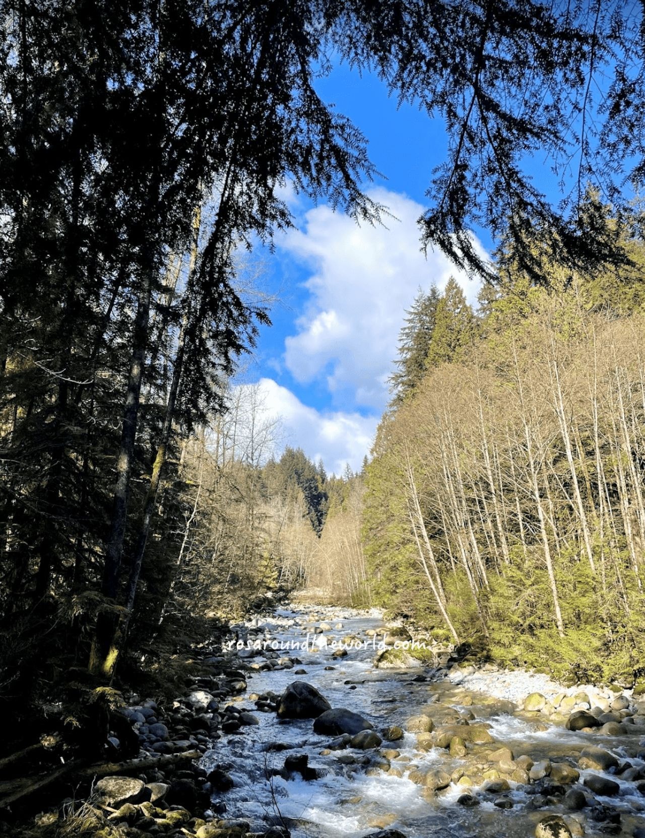 【北溫哥華景點】林恩峽谷公園Lynn Canyon Park,免費吊橋公園 - 第4張圖