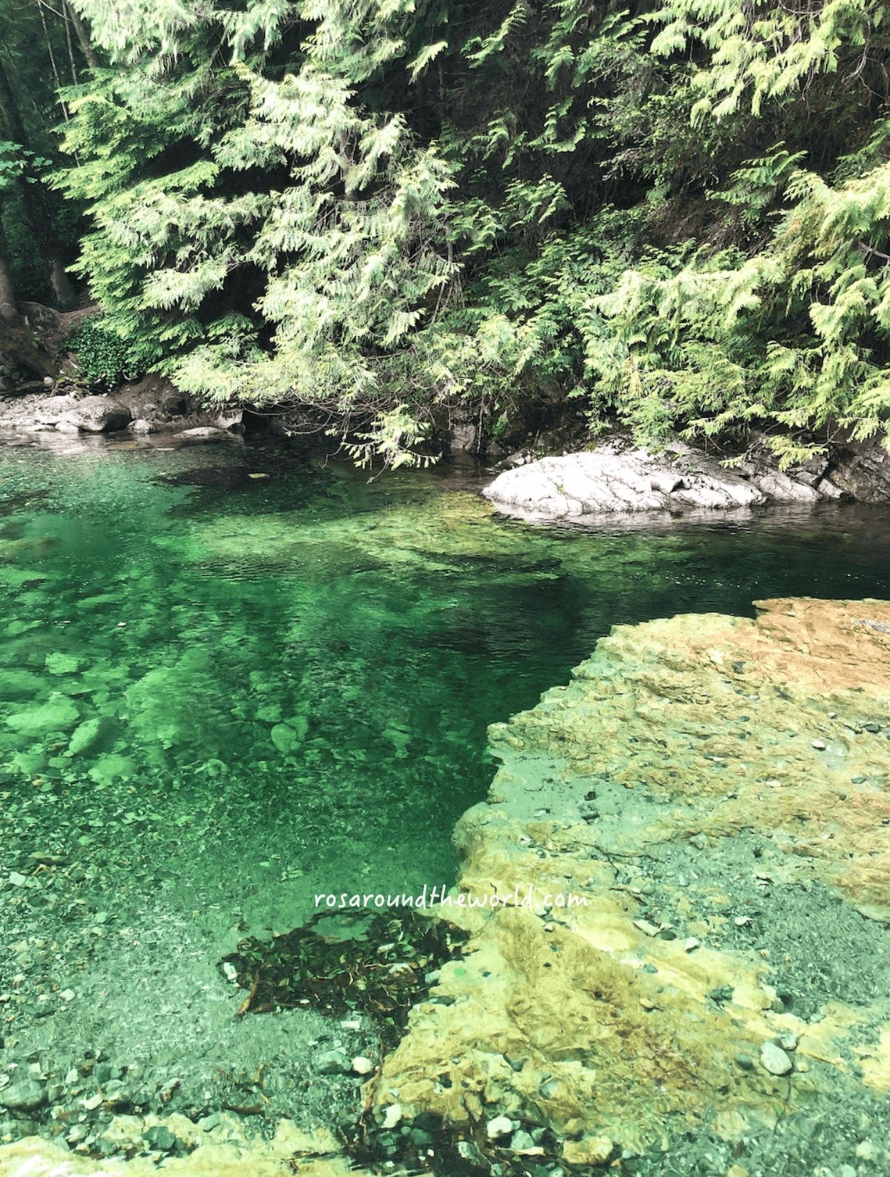 【北溫哥華景點】林恩峽谷公園Lynn Canyon Park,免費吊橋公園 - 第2張圖
