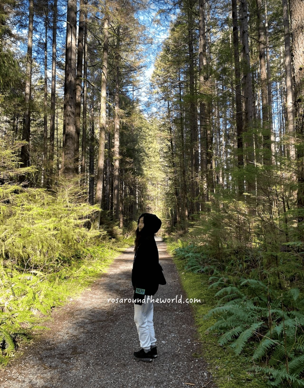 【北溫哥華景點】林恩峽谷公園Lynn Canyon Park,免費吊橋公園 - 第15張圖
