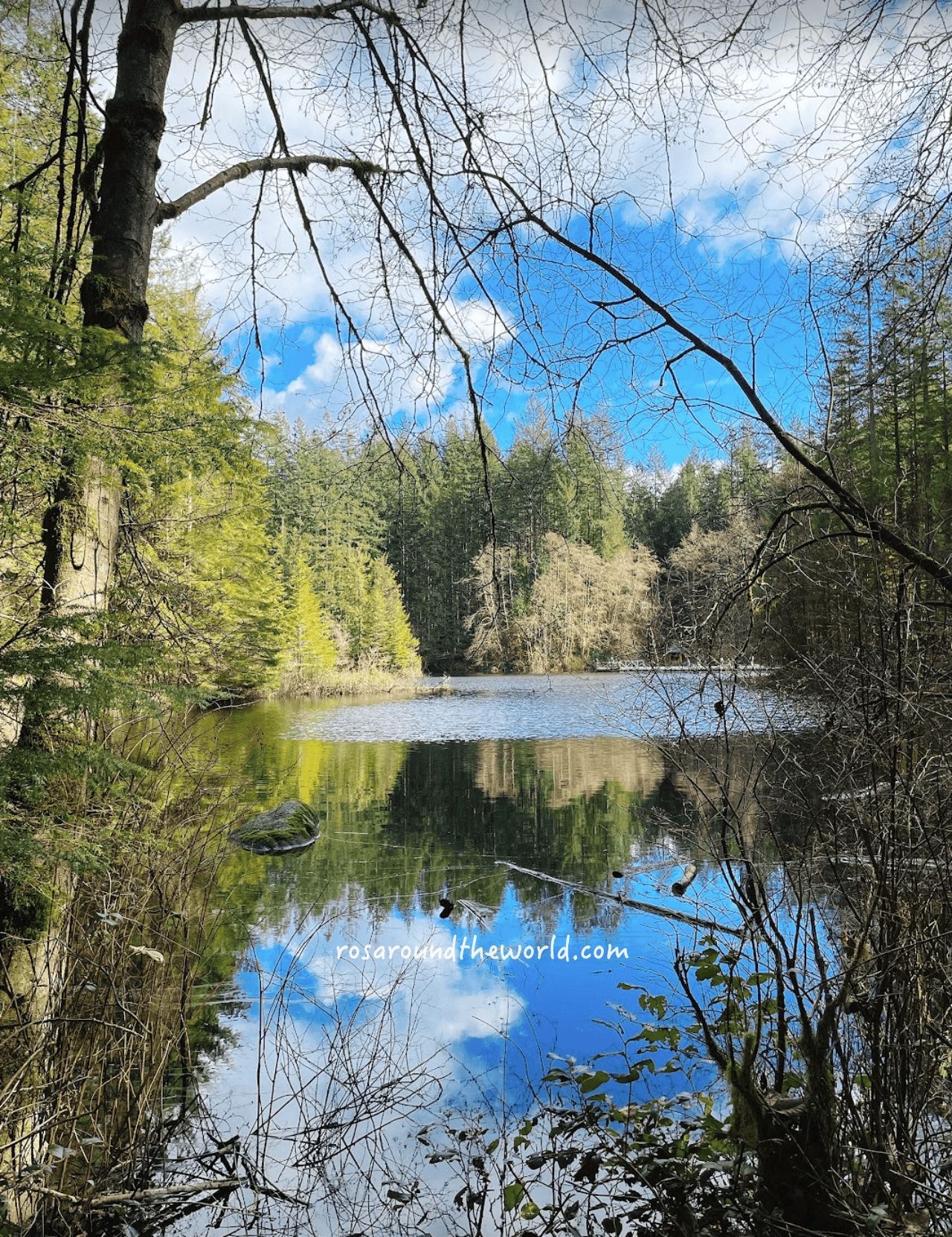【北溫哥華景點】林恩峽谷公園Lynn Canyon Park,免費吊橋公園 - 第14張圖