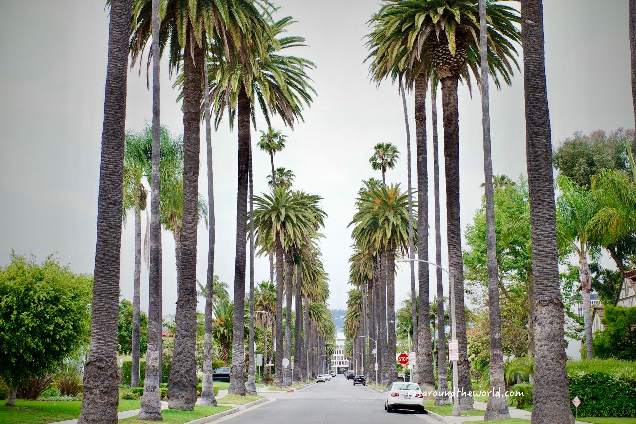 【洛杉磯比佛利山莊】景點、停車攻略,參觀名人豪宅 - 第2張圖 【洛杉磯比佛利山莊】景點、停車攻略,參觀名人豪宅