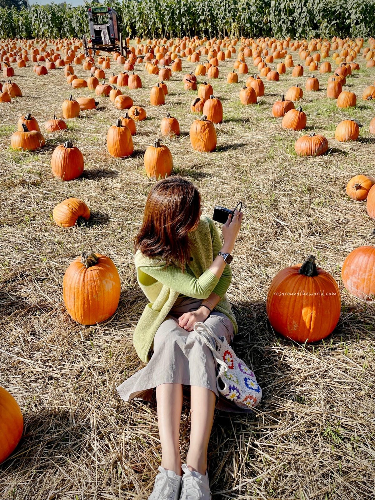 【溫哥華景點】南瓜園Pumpkin Patch半日遊,秋天親子好去處 - 第8張圖