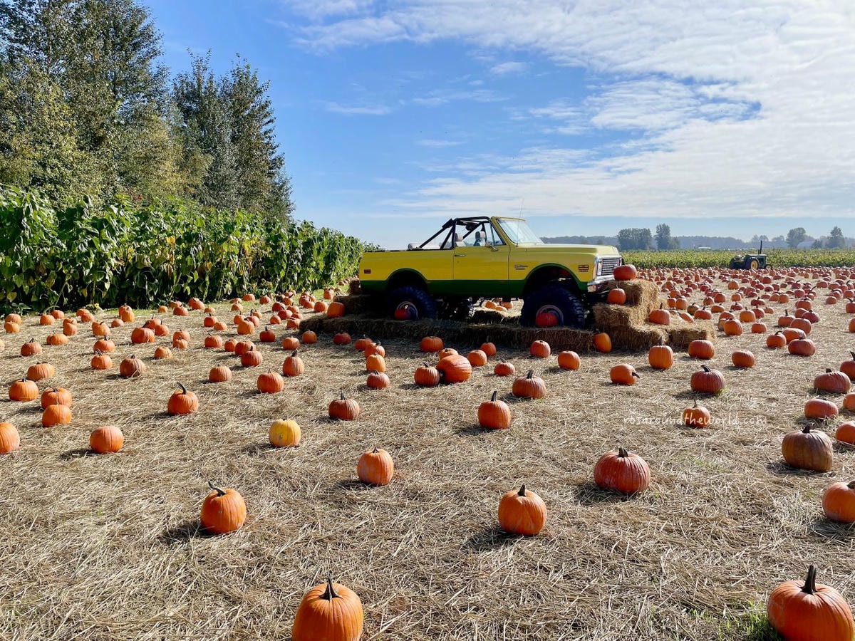 【溫哥華景點】南瓜園Pumpkin Patch半日遊,秋天親子好去處 - 第1張圖