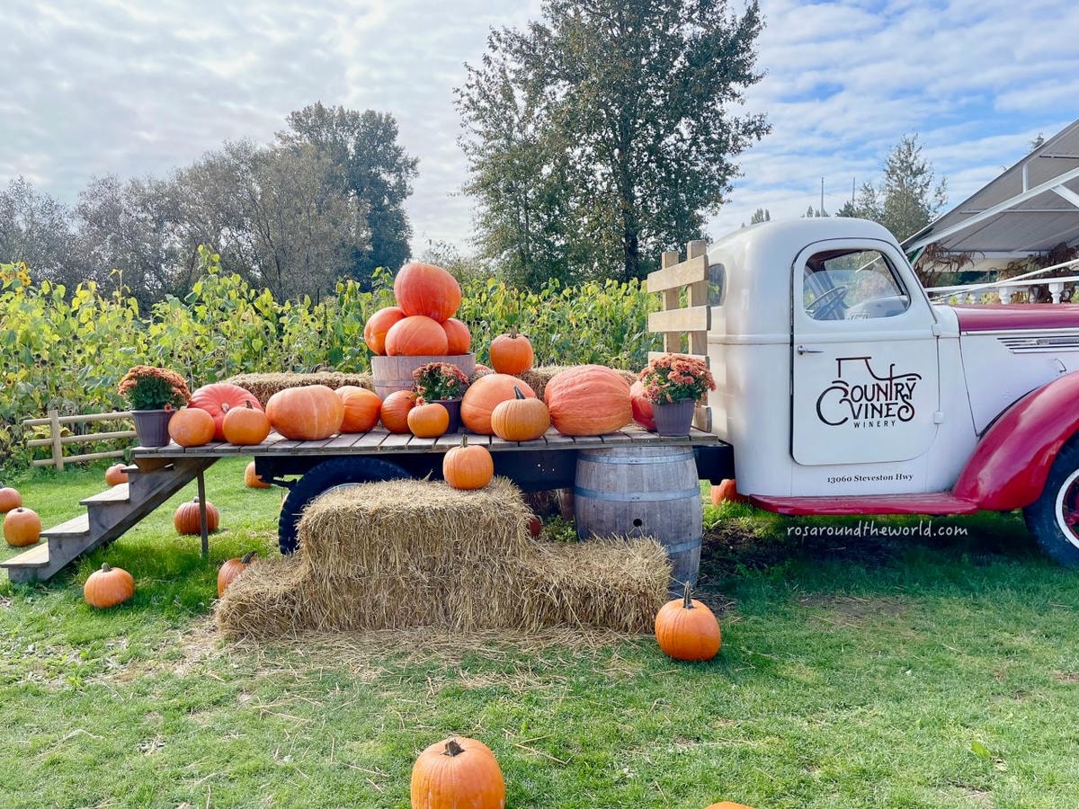 【溫哥華景點】南瓜園Pumpkin Patch半日遊,秋天親子好去處 - 第23張圖