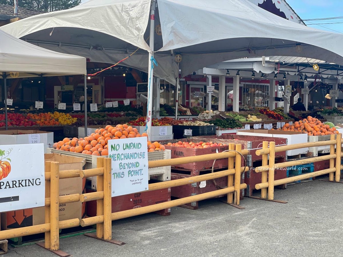 【溫哥華景點】南瓜園Pumpkin Patch半日遊,秋天親子好去處 - 第3張圖
