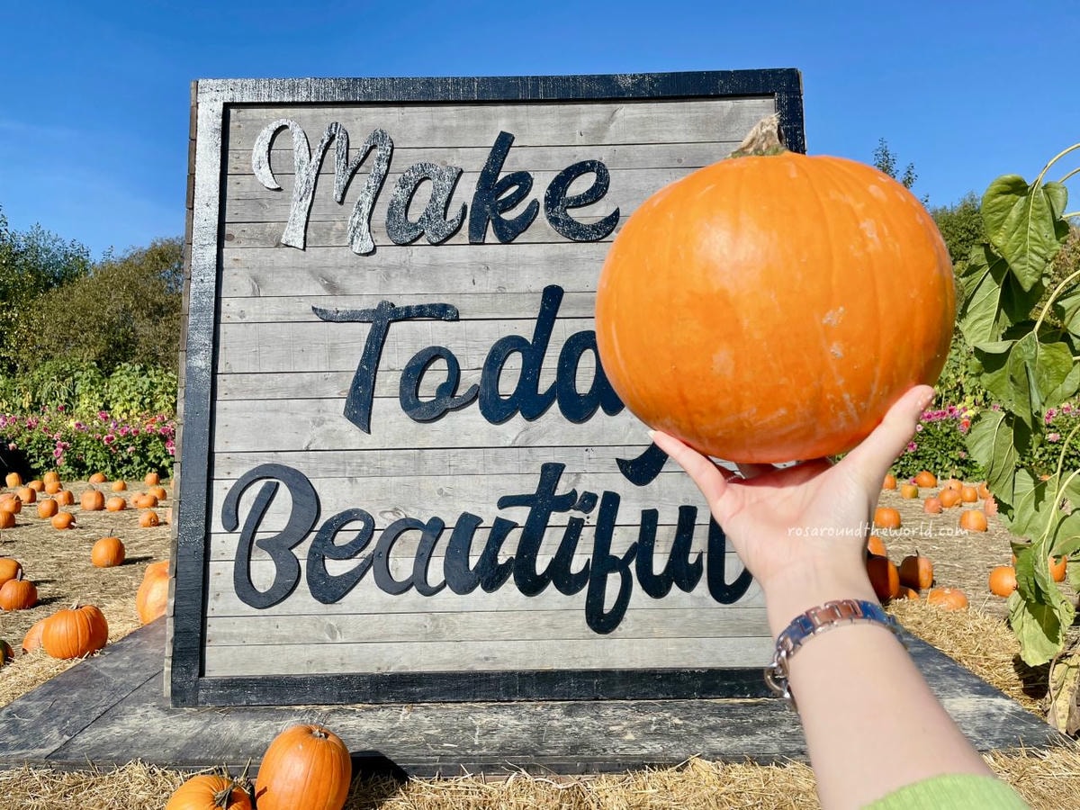 【溫哥華景點】南瓜園Pumpkin Patch半日遊,秋天親子好去處 - 第6張圖