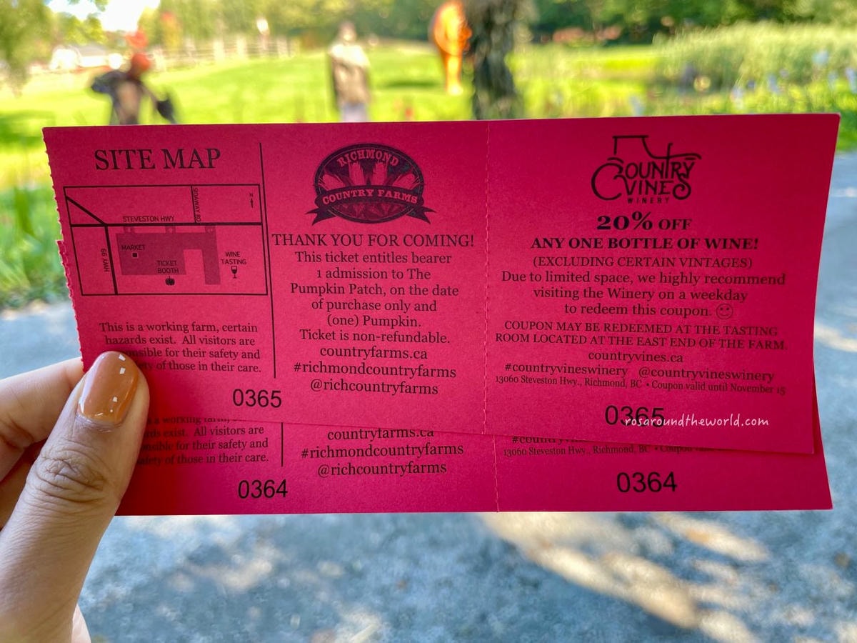 【溫哥華景點】南瓜園Pumpkin Patch半日遊,秋天親子好去處 - 第7張圖