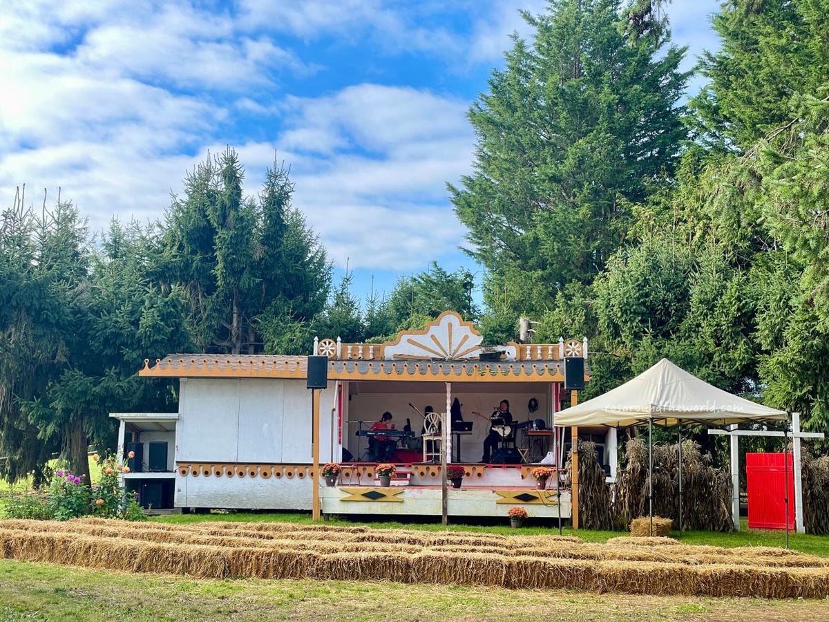 【溫哥華景點】南瓜園Pumpkin Patch半日遊,秋天親子好去處 - 第13張圖