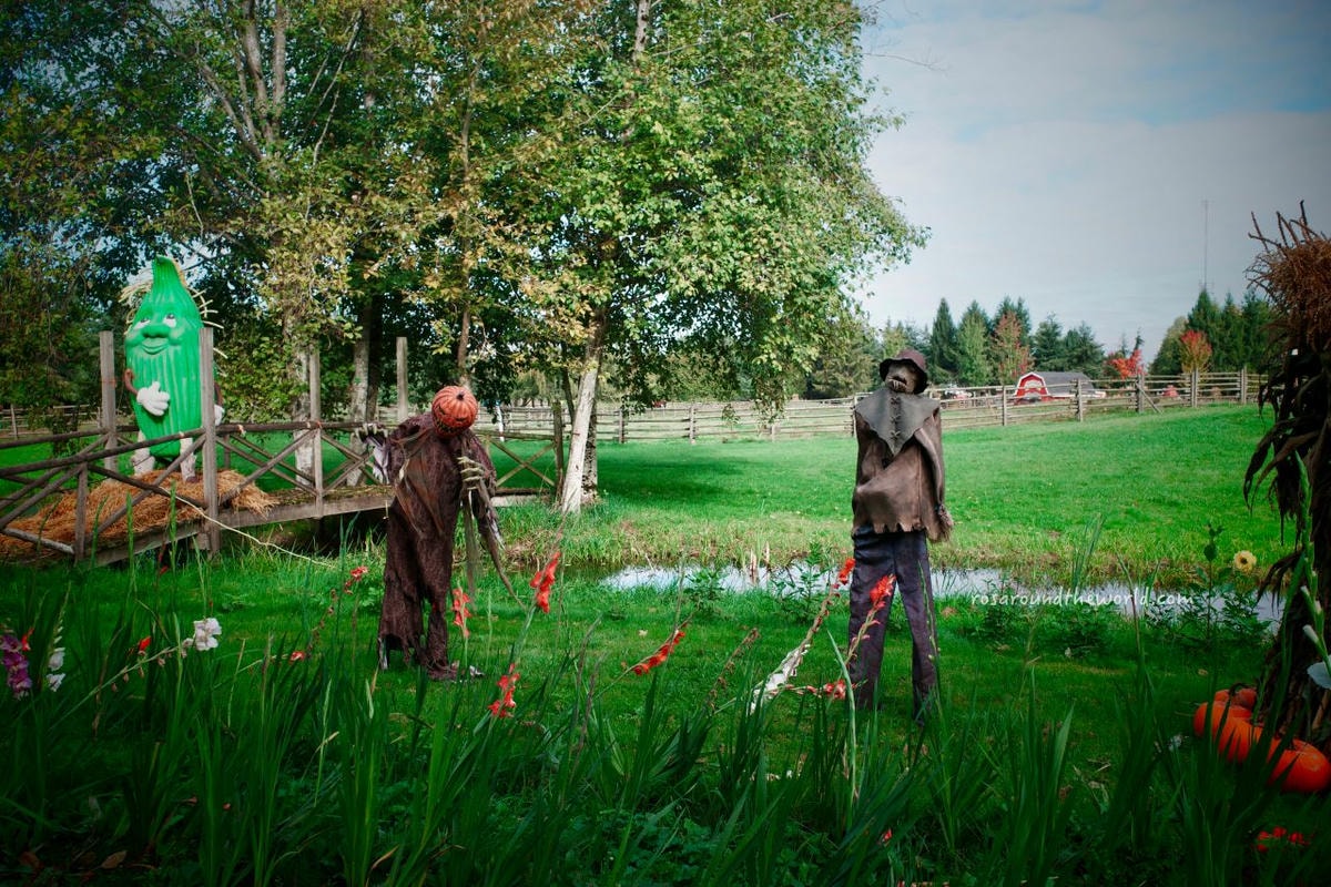 【溫哥華景點】南瓜園Pumpkin Patch半日遊,秋天親子好去處 - 第16張圖
