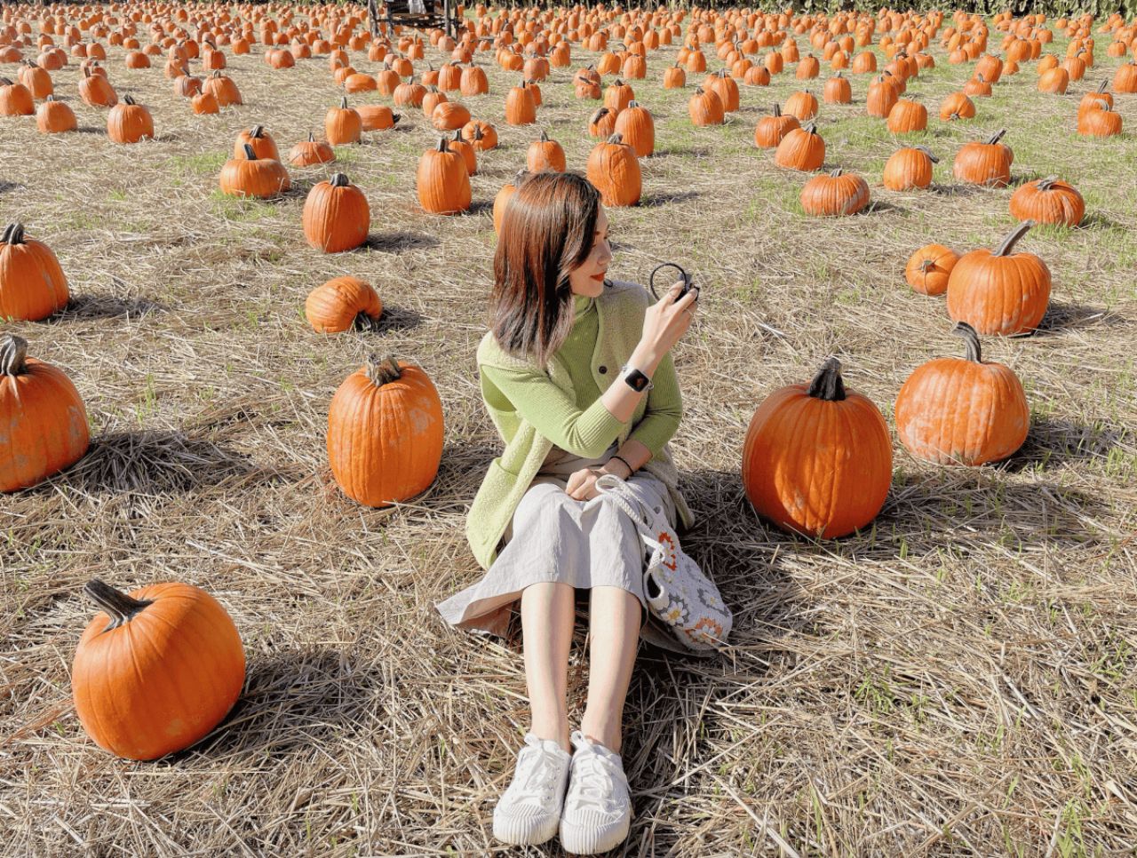 【溫哥華南瓜園Pumpkin Patch】2024秋季限定 Richmond Country Farms - 第1張圖