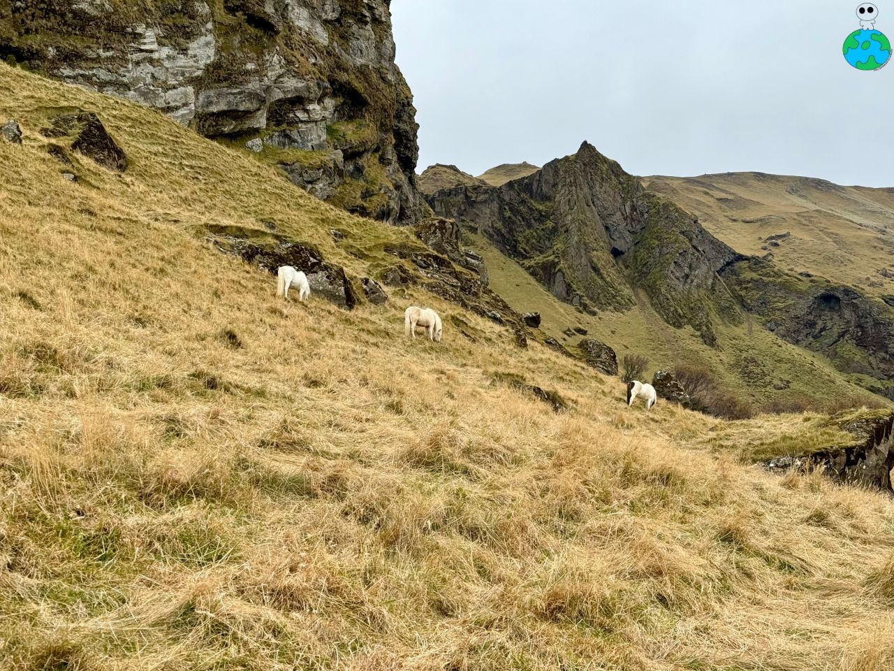 【冰島南部景點】斯科加瀑布Skogafoss,彩虹瀑布超壯觀! - 第4張圖 斯科加瀑布(Skogafoss)