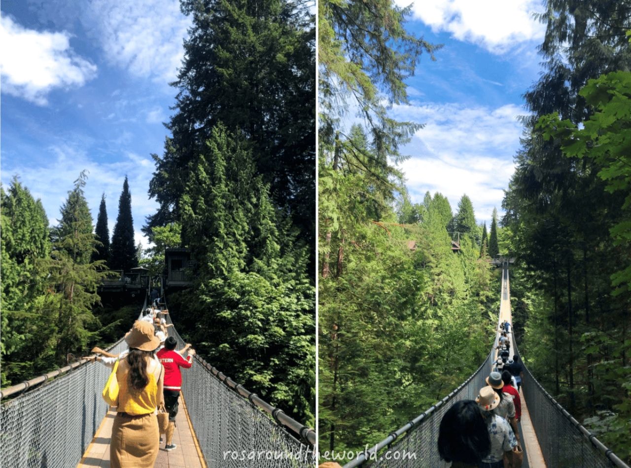 【北溫哥華景點】卡皮拉諾吊橋公園Capilano門票/接駁車/交通攻略 - 第9張圖