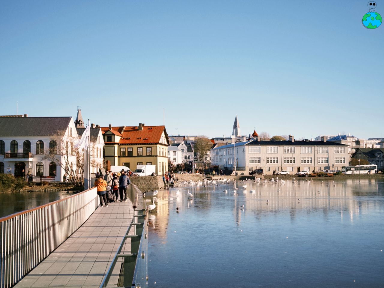 【冰島景點】托寧湖Tjörnin 上百隻天鵝齊聚一堂,最美麵包湯 - 第5張圖 雷克雅維克托寧湖 人生奇景