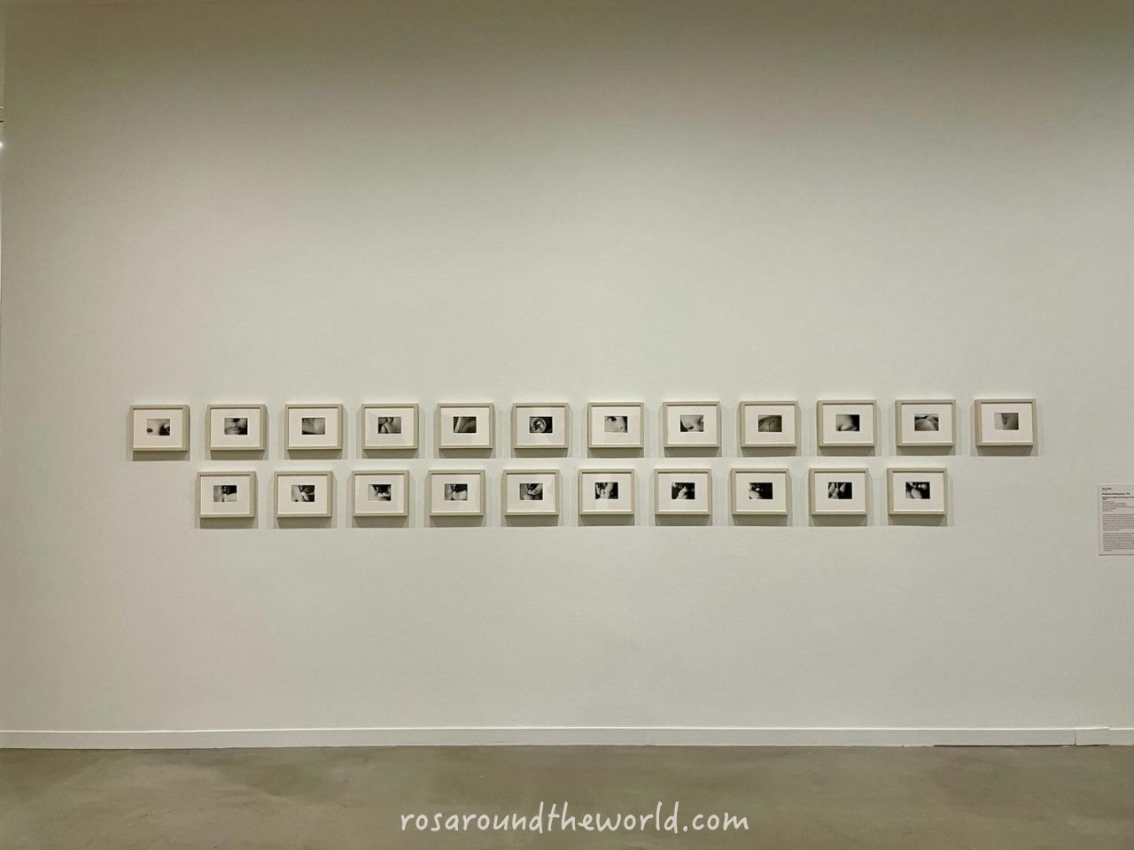 【溫哥華美術館 Vancouver Art Gallery】2025門票、交通、免費時段 - 第10張圖