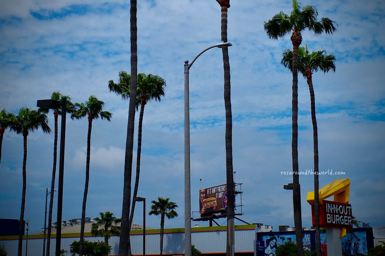 【美國必吃IN-N-OUT】隱藏菜單這樣點,10個店員沒有說的秘密! - 第7張圖