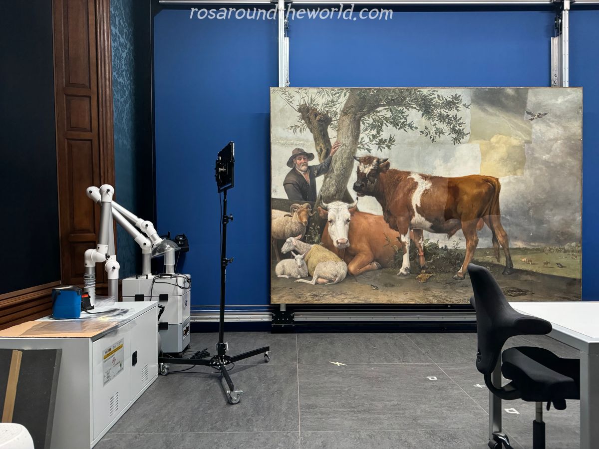 【荷蘭海牙景點】莫瑞泰斯皇家美術館Mauritshuis,必看戴珍珠耳環的少女! - 第13張圖
