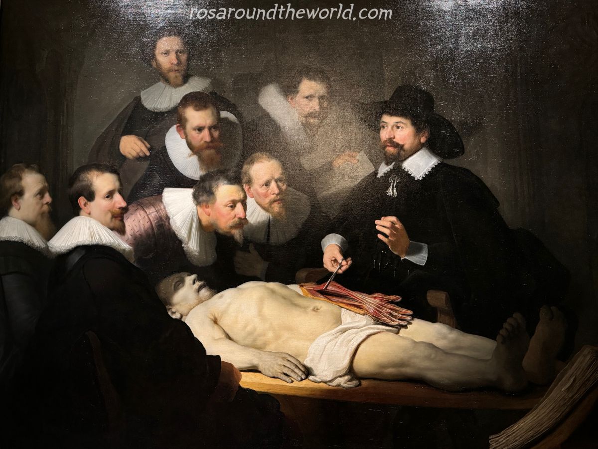 【荷蘭海牙景點】莫瑞泰斯皇家美術館Mauritshuis,必看戴珍珠耳環的少女! - 第11張圖