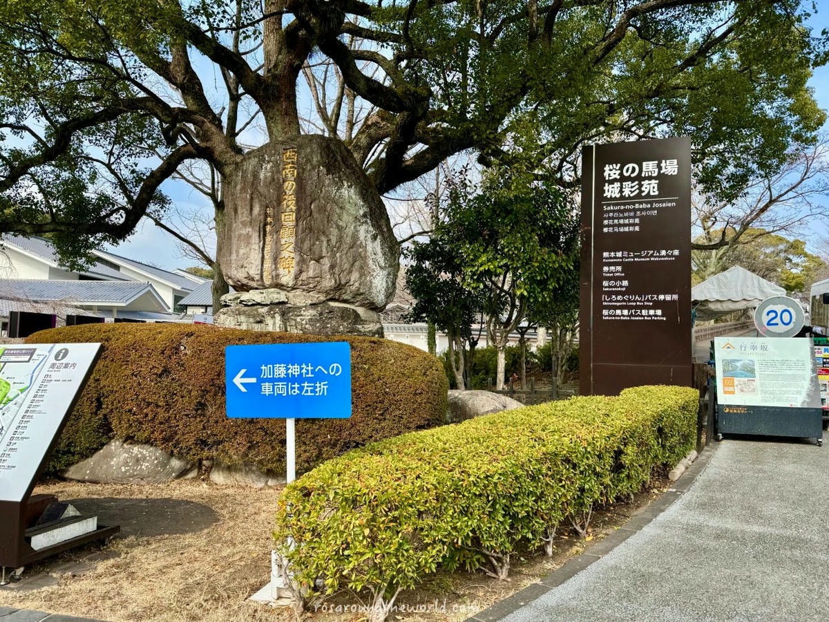 【2025熊本自由行】熊本城開放時間&修復進度、美食攻略 - 第14張圖