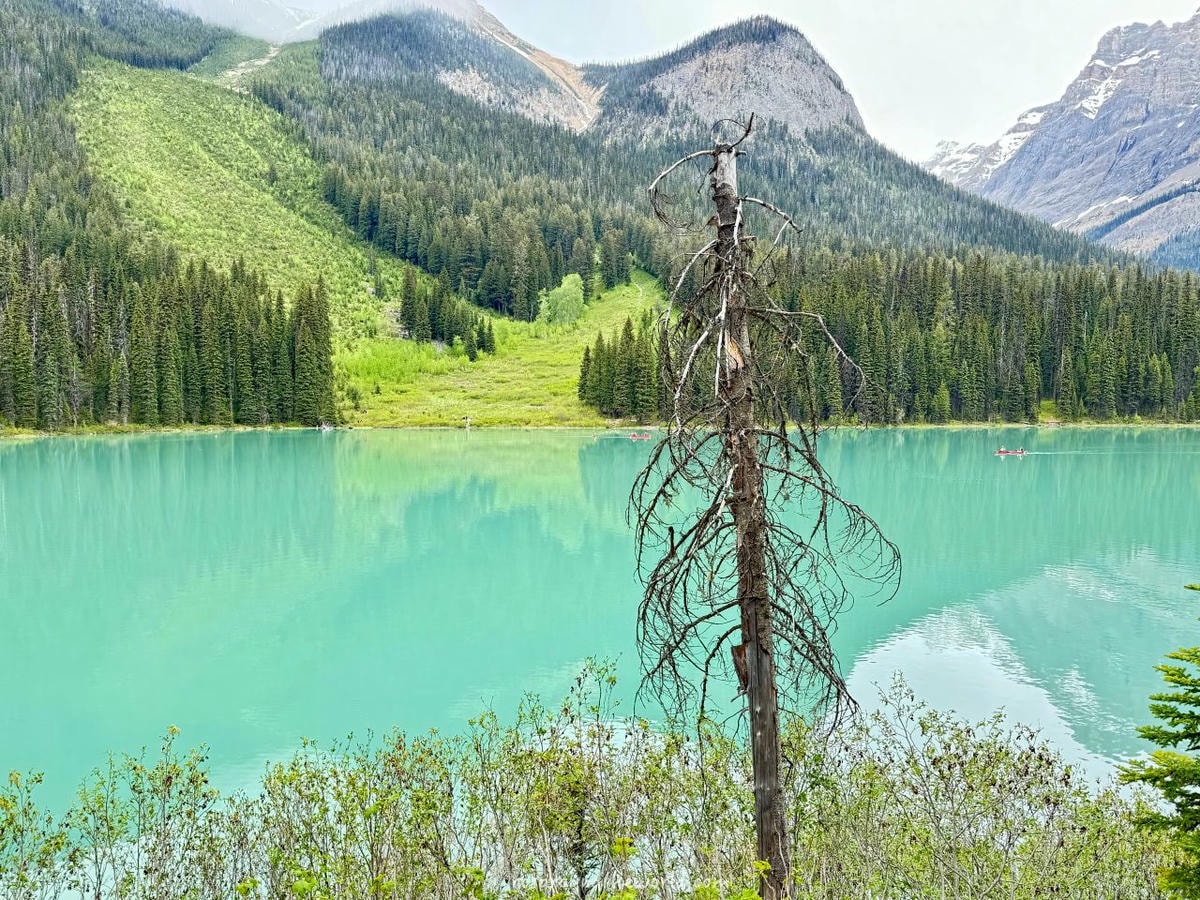 【幽鶴國家公園】Emerald Lake 翡翠湖划船、交通&住宿推薦 - 第5張圖