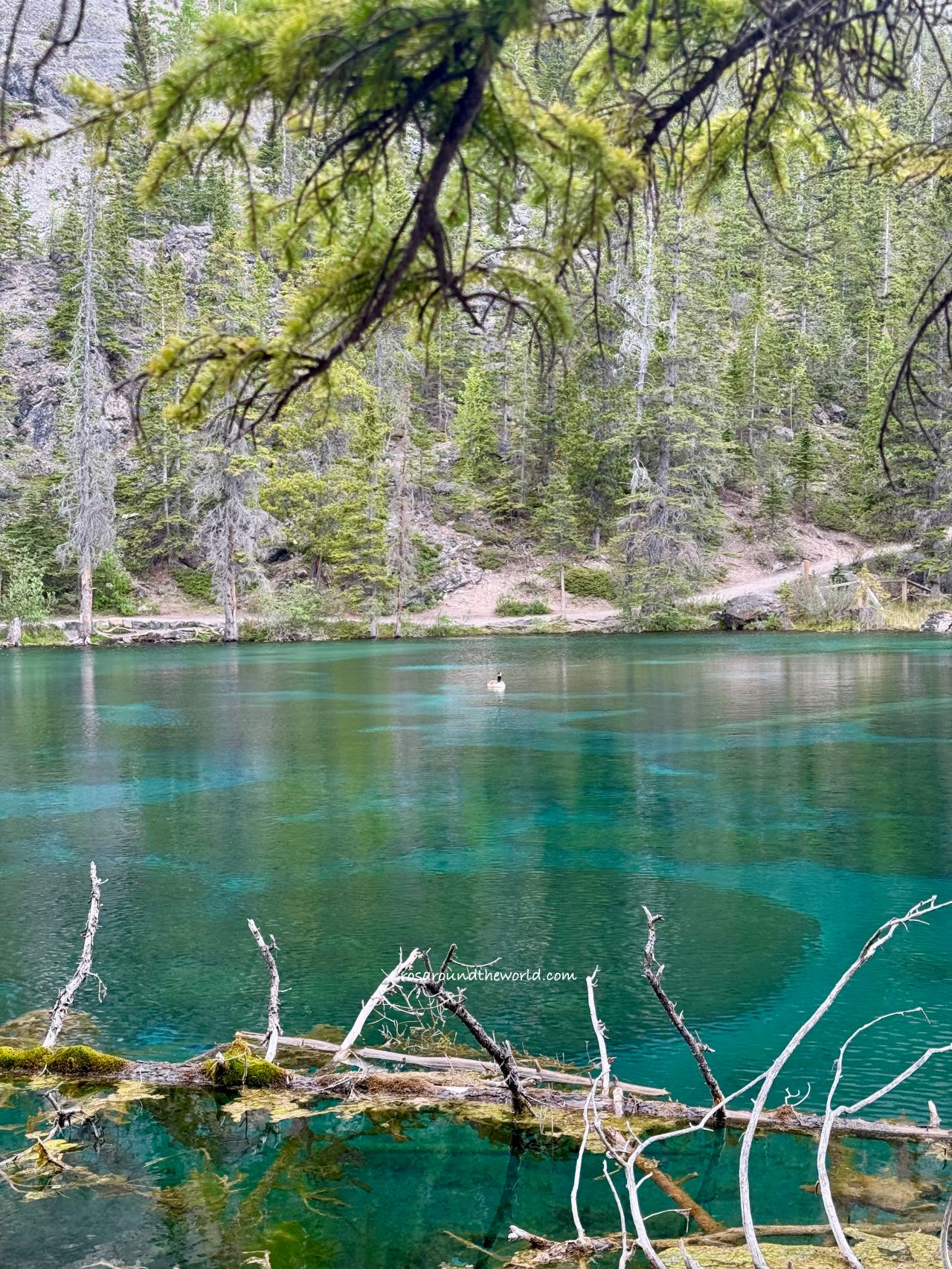 【坎莫爾必去景點】Grassi Lakes停車、通行證、徒步路線 - 第15張圖