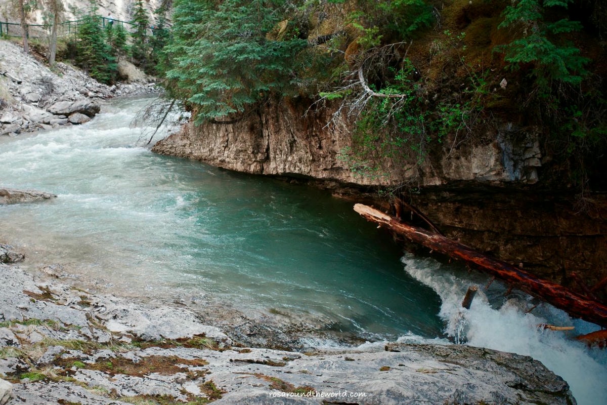 【班夫景點推薦】Johnston Canyon 強斯頓峽谷冬天、路線、交通攻略 - 第18張圖