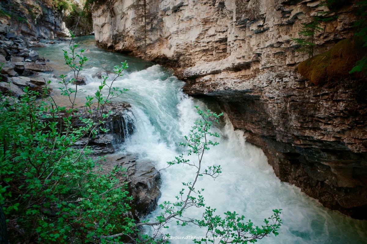 【班夫景點推薦】Johnston Canyon 強斯頓峽谷冬天、路線、交通攻略 - 第1張圖