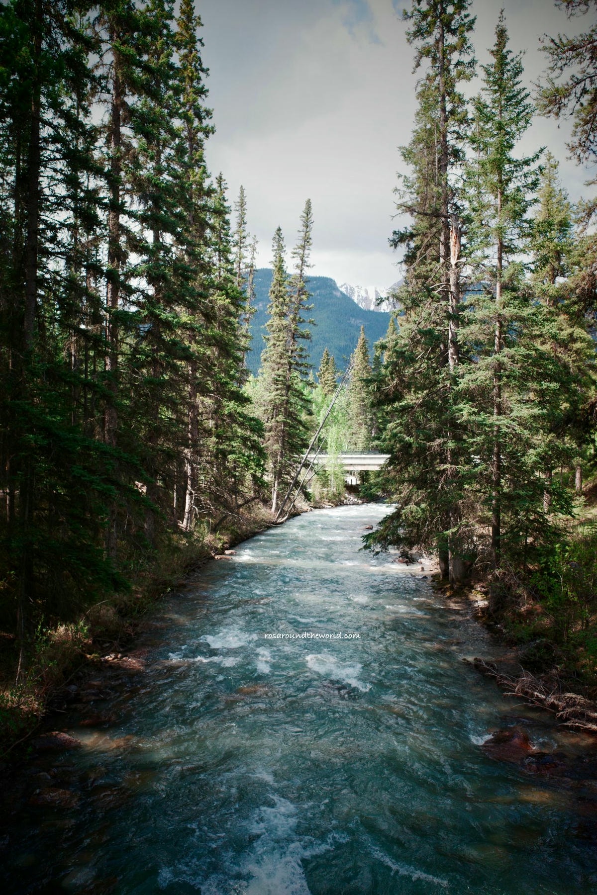 【班夫景點推薦】Johnston Canyon 強斯頓峽谷冬天、路線、交通攻略 - 第14張圖