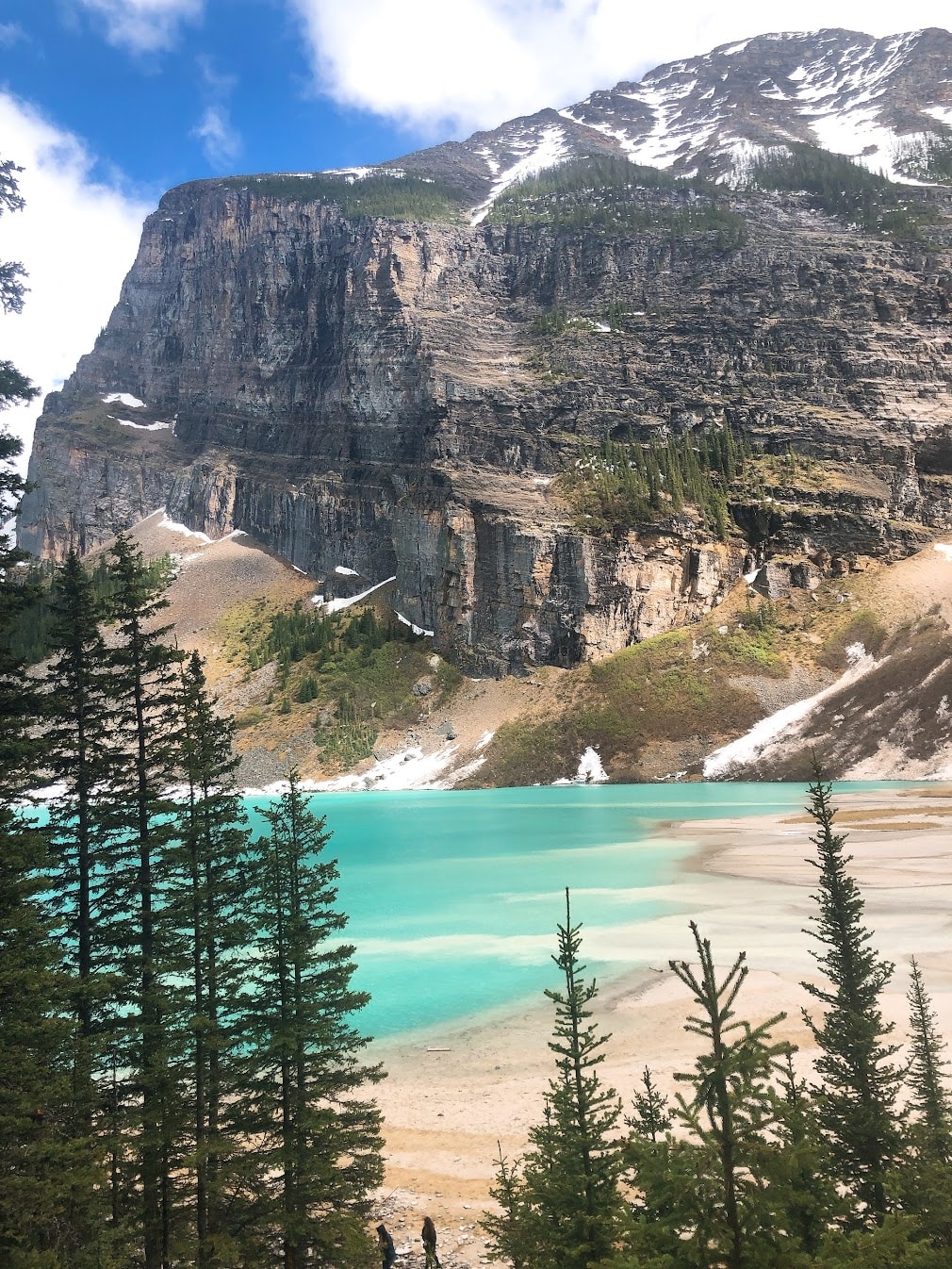 【路易斯湖步道攻略】只在湖邊看不夠,8個必爬Lake Louise Trail - 第7張圖