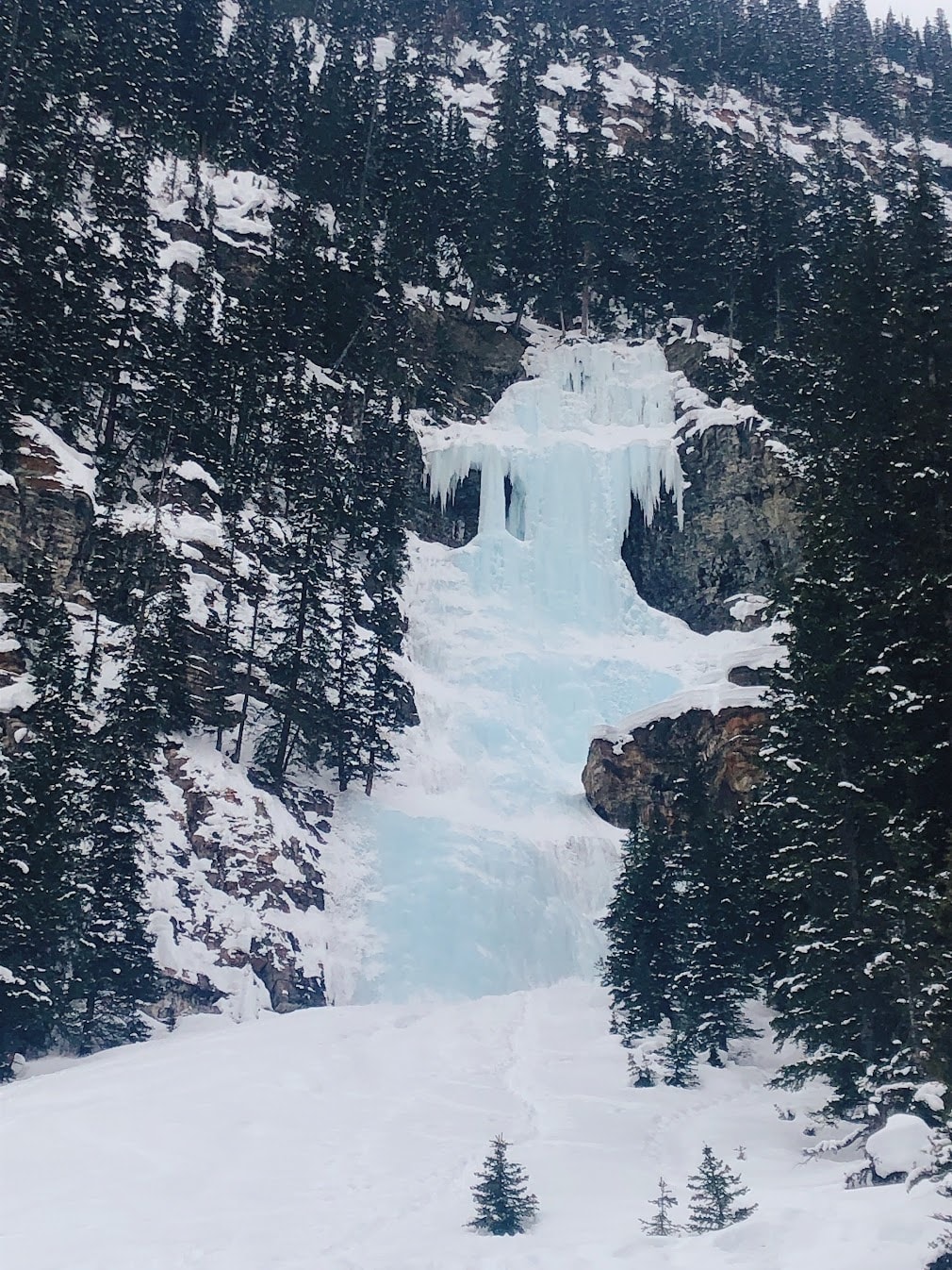 【路易斯湖步道攻略】只在湖邊看不夠,8個必爬Lake Louise Trail - 第8張圖