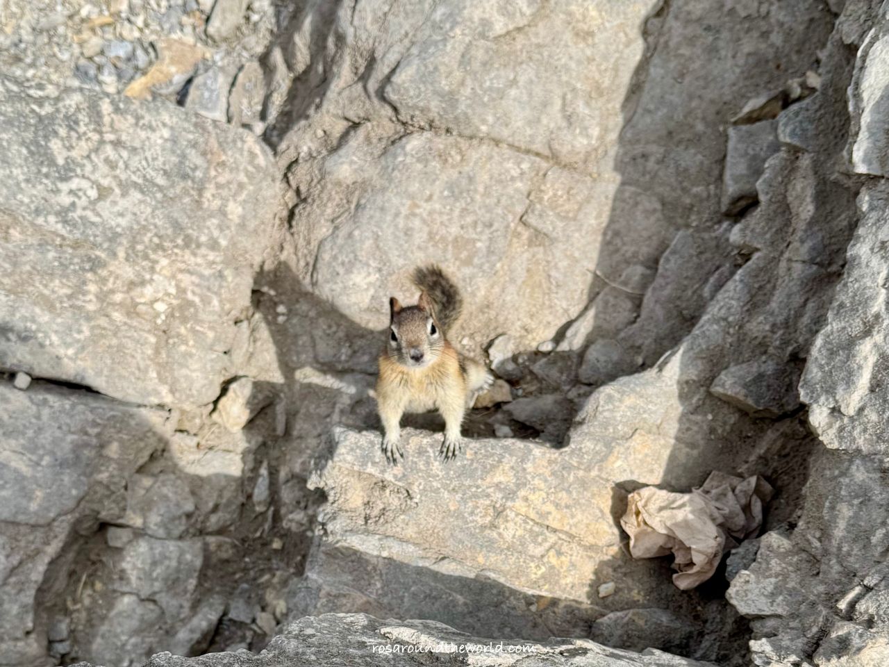 【班夫景點推薦】明尼旺卡湖Lake Minnewanka,落磯山脈最大人工湖 - 第13張圖