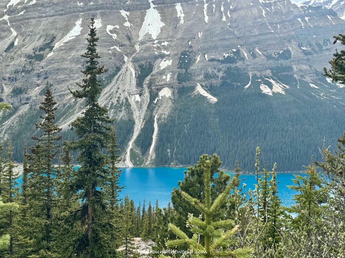 【班夫景點推薦】沛托湖Peyto Lake交通、停車、季節,藍到不真實的冰川湖 - 第8張圖