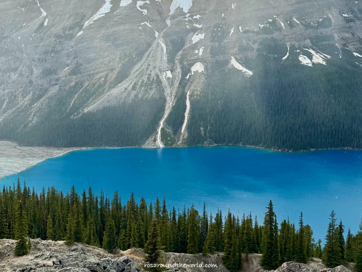 【班夫景點推薦】沛托湖Peyto Lake交通、停車、季節,藍到不真實的冰川湖 - 第3張圖