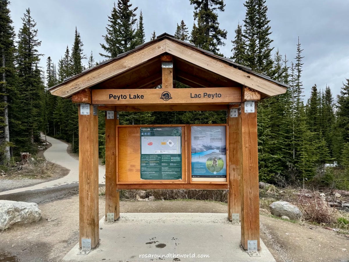 【班夫景點推薦】沛托湖Peyto Lake交通、停車、季節,藍到不真實的冰川湖 - 第2張圖