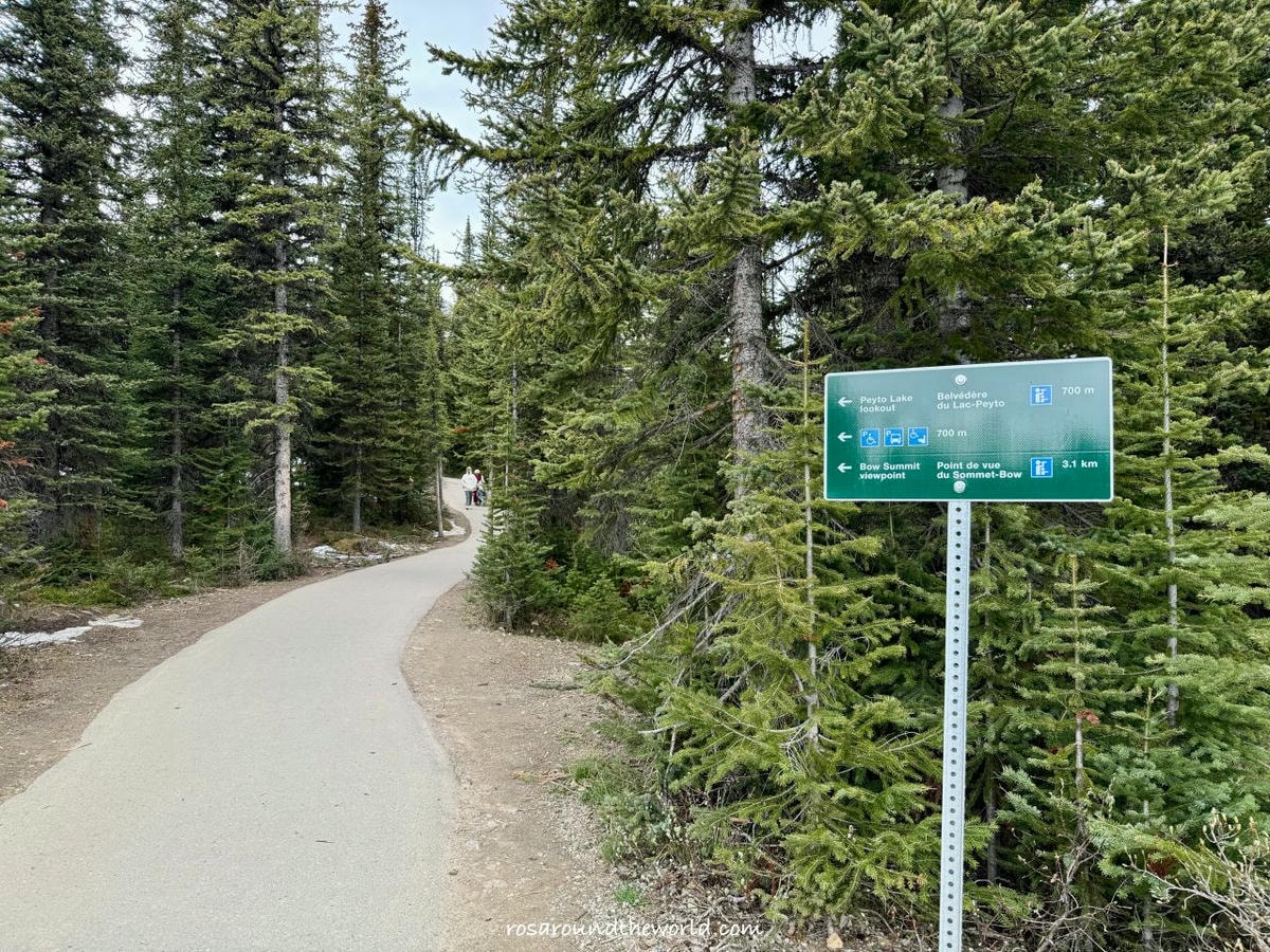 【班夫景點推薦】沛托湖Peyto Lake交通、停車、季節,藍到不真實的冰川湖 - 第5張圖