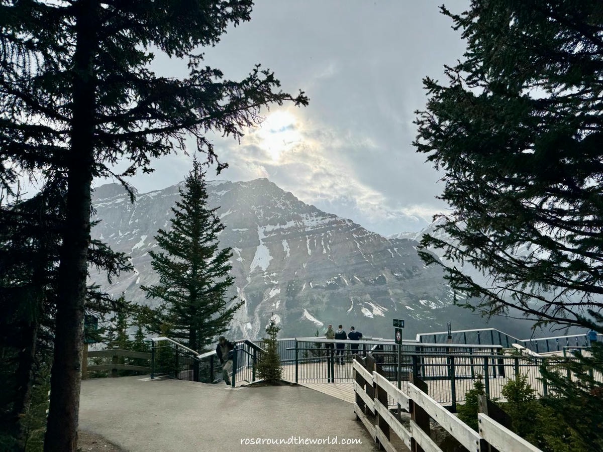 【班夫景點推薦】沛托湖Peyto Lake交通、停車、季節,藍到不真實的冰川湖 - 第4張圖