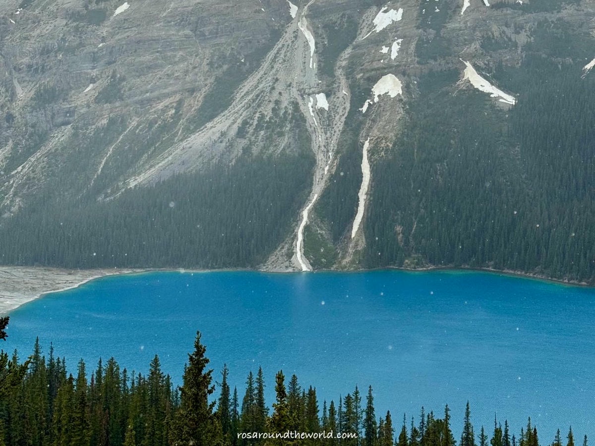 【班夫景點推薦】沛托湖Peyto Lake交通、停車、季節,藍到不真實的冰川湖 - 第11張圖