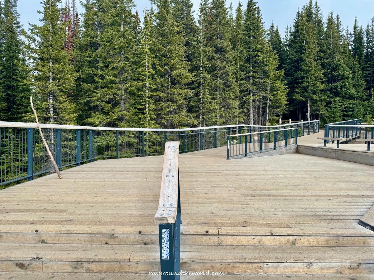 【班夫景點推薦】沛托湖Peyto Lake交通、停車、季節,藍到不真實的冰川湖 - 第9張圖