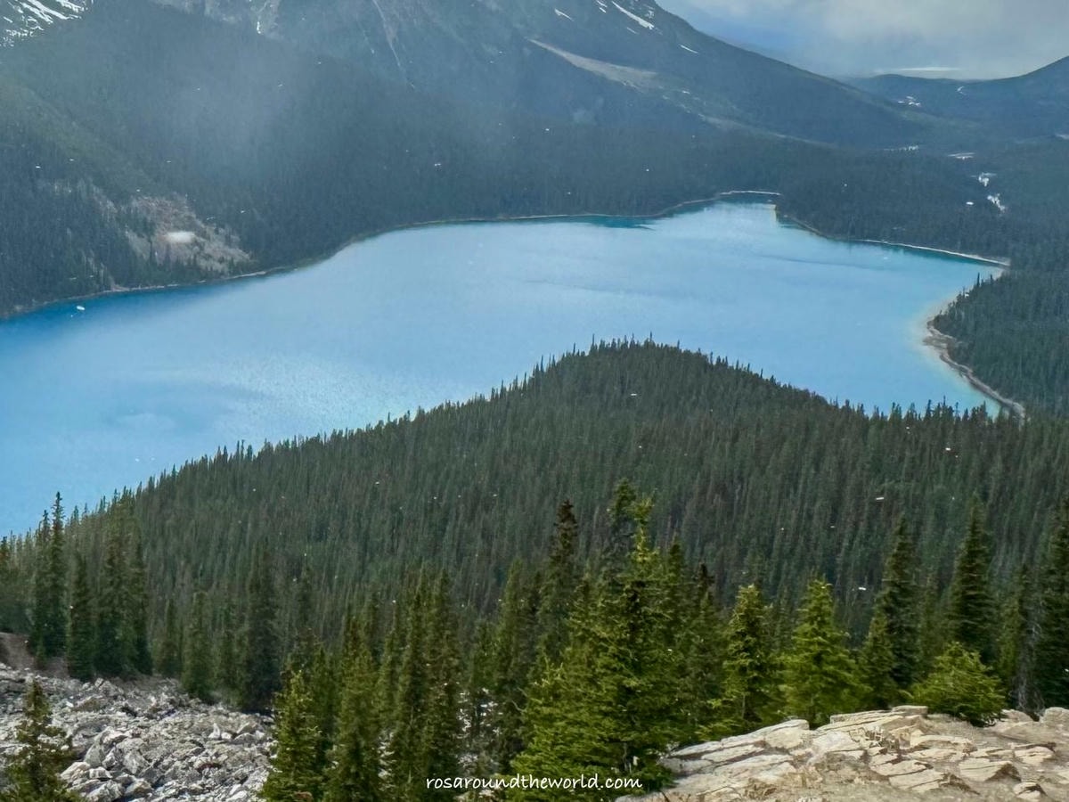 【班夫景點推薦】沛托湖Peyto Lake交通、停車、季節,藍到不真實的冰川湖 - 第10張圖