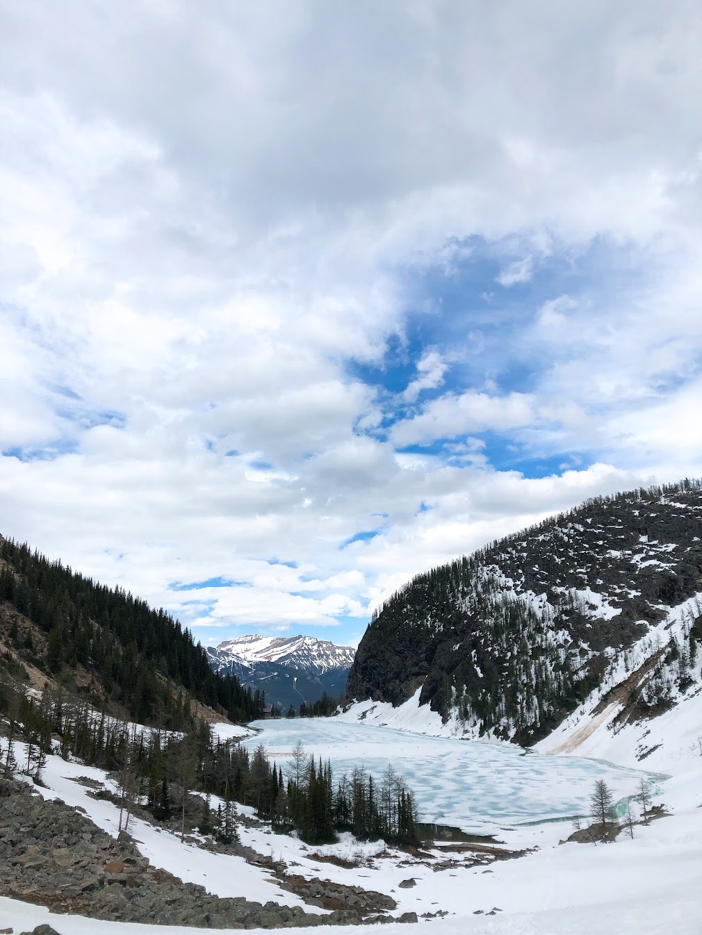 【路易斯湖步道攻略】只在湖邊看不夠,8個必爬Lake Louise Trail - 第15張圖