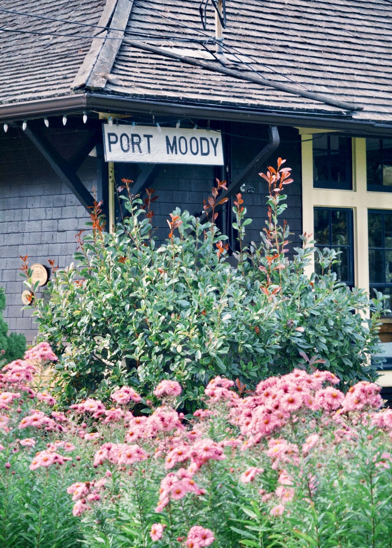 【溫哥華景點推薦】滿地寶Port Moody一日遊,不自駕也能玩! - 第6張圖
