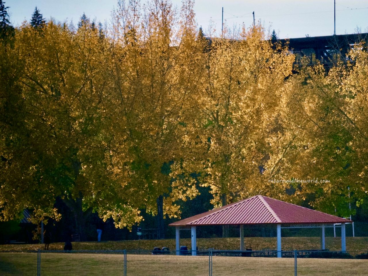 【Edmonton景點】愛德蒙頓3天2夜自由行,8個必去行程攻略 - 第23張圖