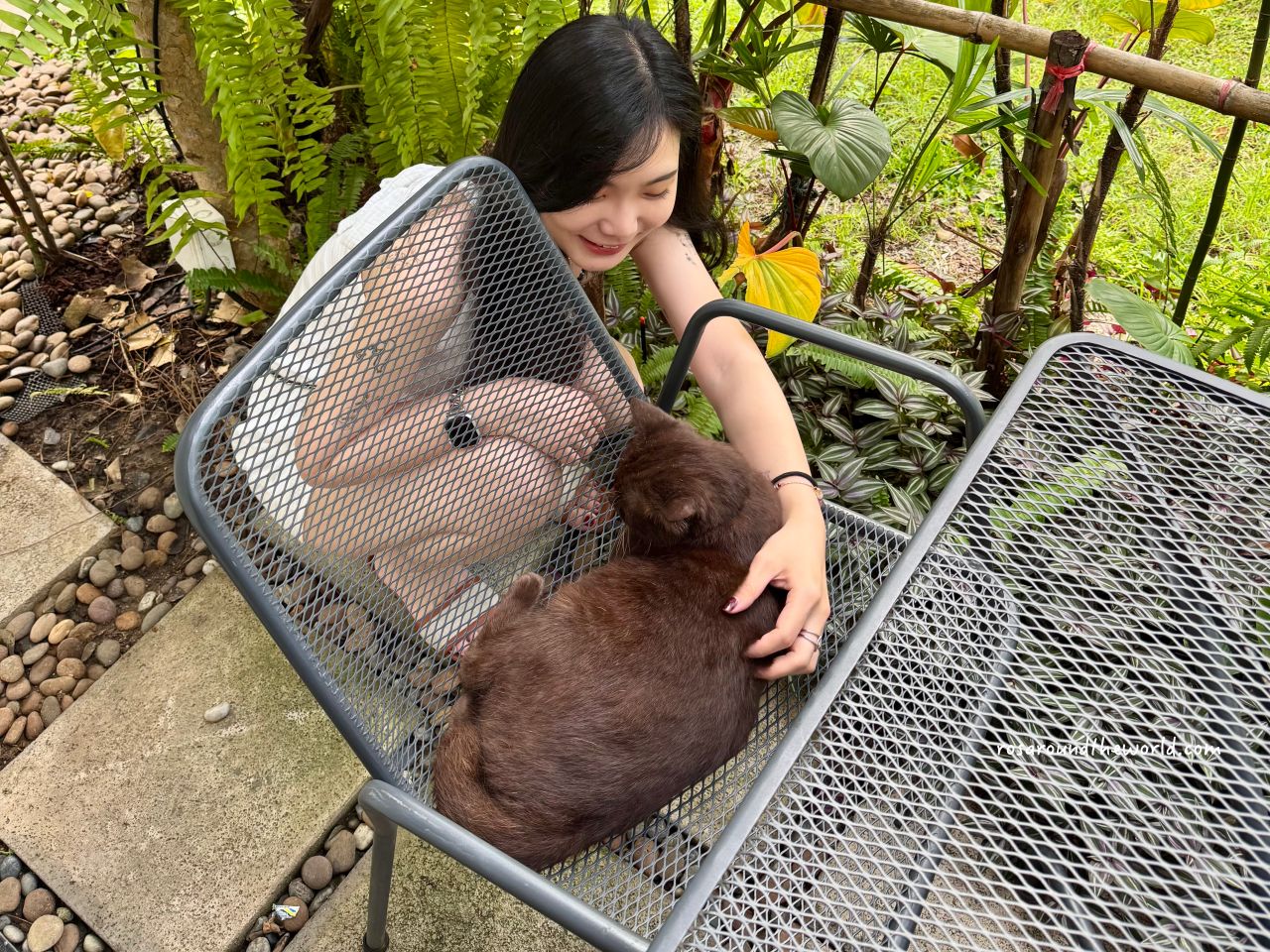 【清邁古城區住宿】POR Arak免費早餐、有泳池、地點方便