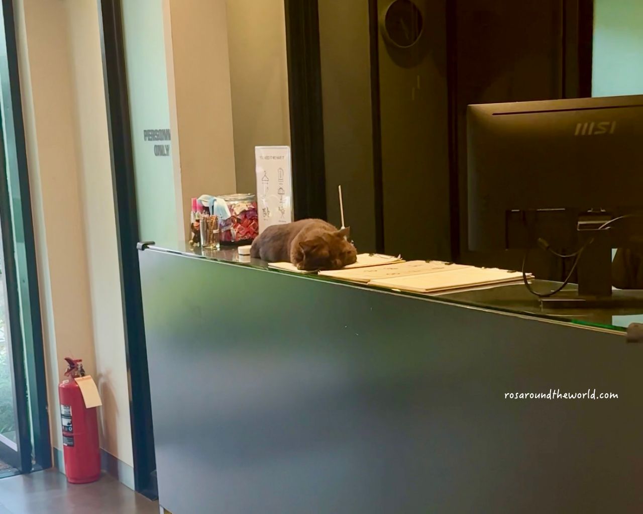 【清邁古城區住宿】POR Arak免費早餐、有泳池、地點方便