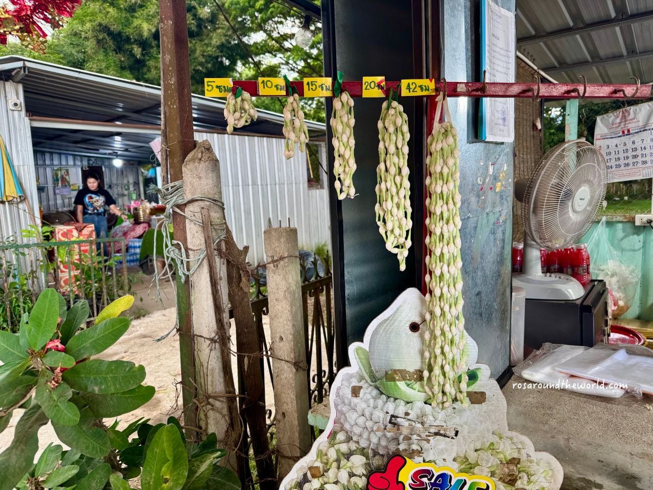 【清邁靈驗廟】清邁來康寺交通、拜法，當地人求財必去！