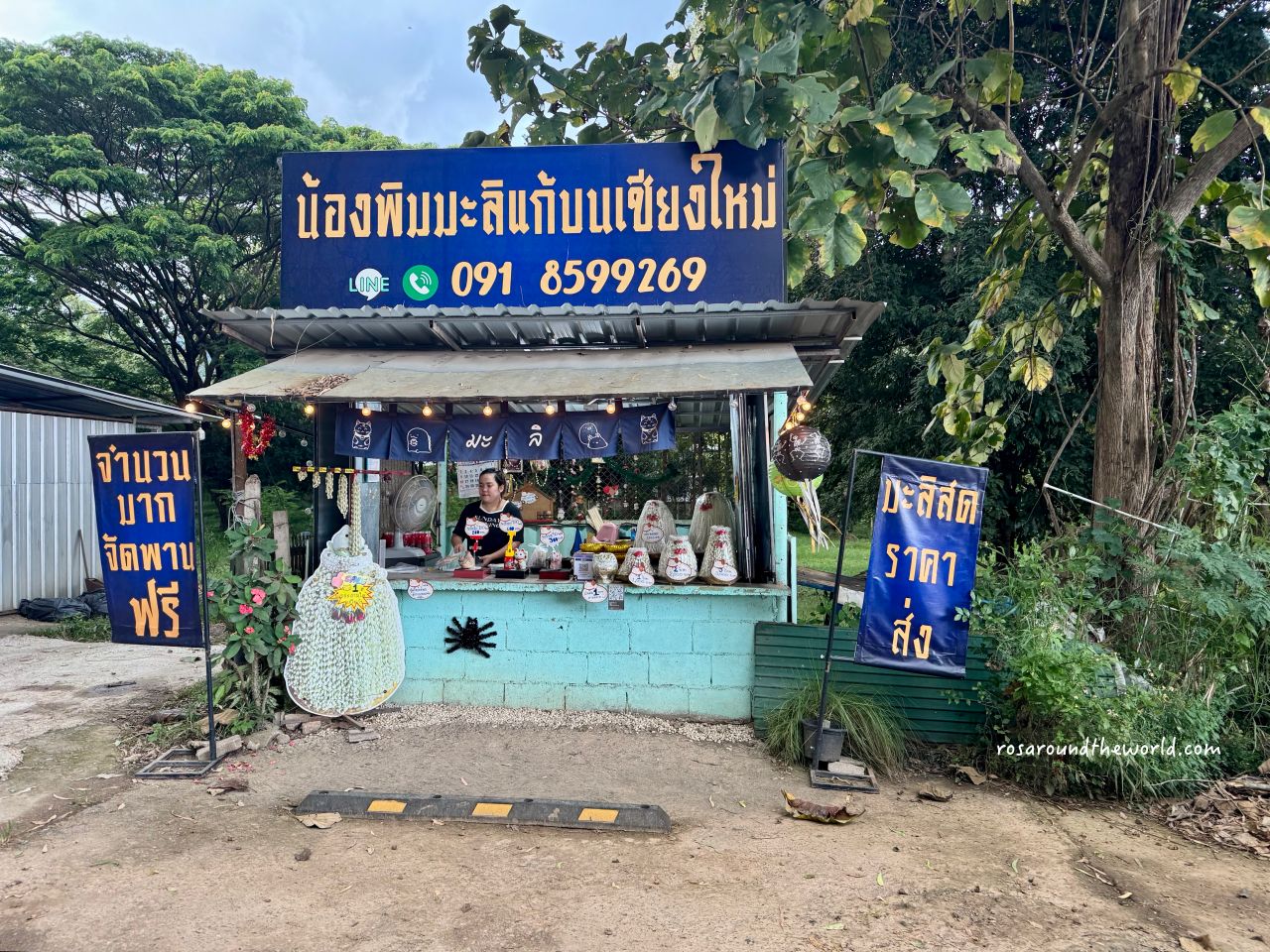 【清邁靈驗廟】清邁來康寺交通、拜法，當地人求財必去！