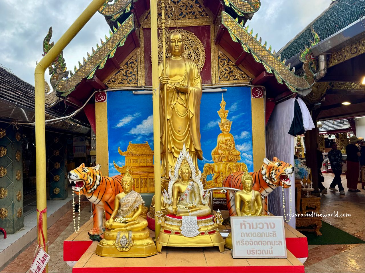 【清邁靈驗廟】清邁來康寺交通、拜法，當地人求財必去！