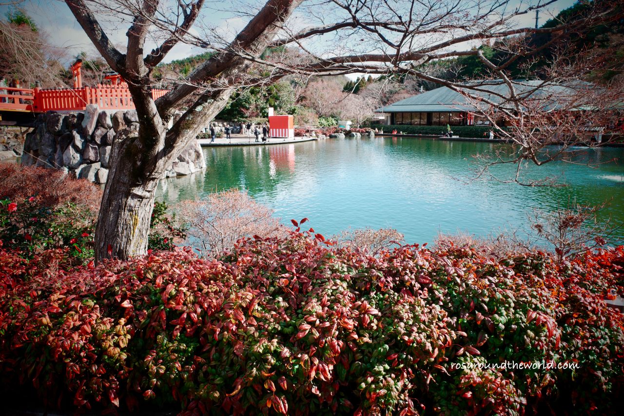 【大阪自由行規劃】交通、住宿、旅遊月份、預算花費&注意事項 - 第7張圖 【大阪自由行規劃】交通、住宿、旅遊月份、預算花費&注意事項