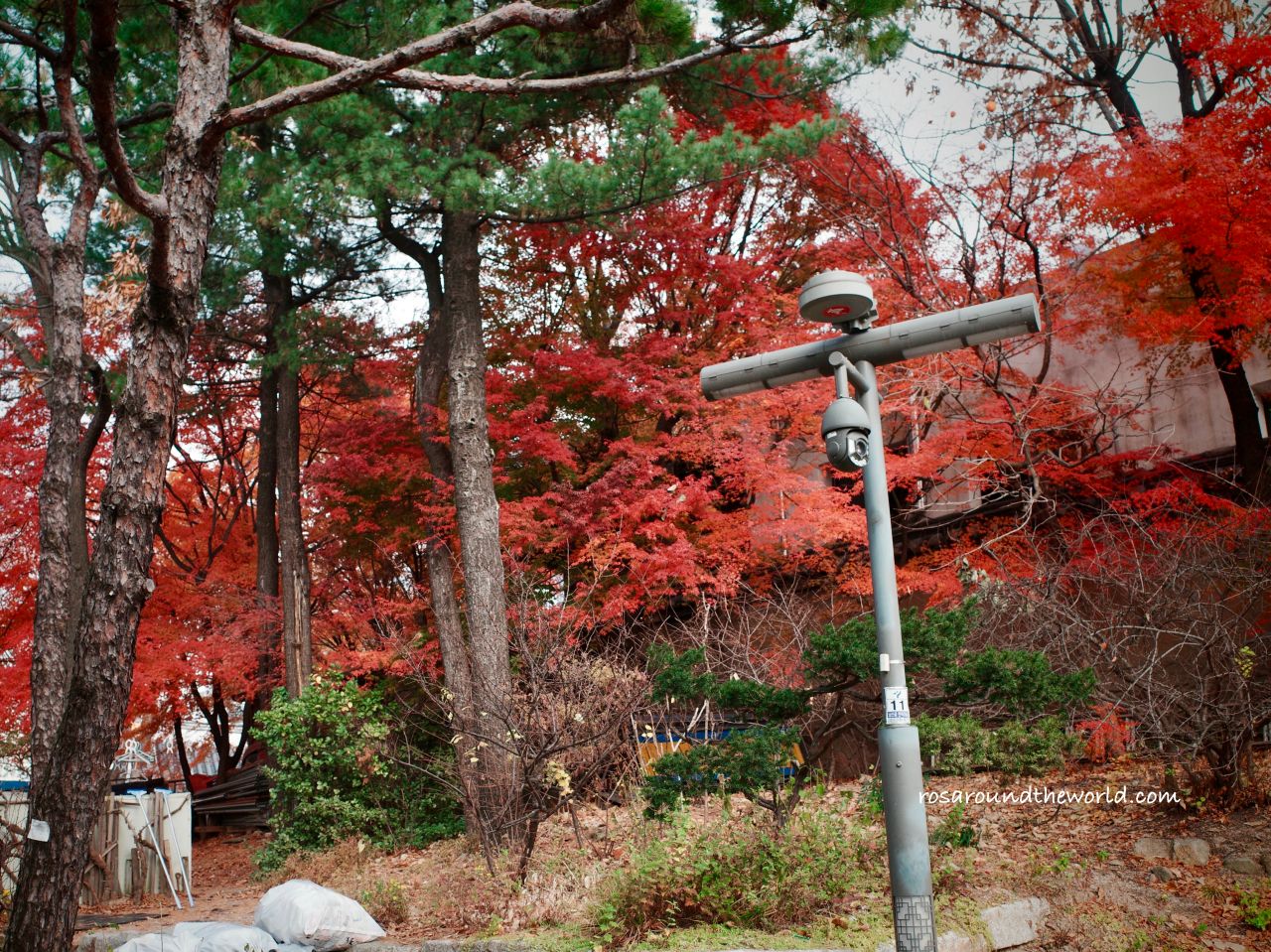 【首爾景點】南山谷韓屋村交通、地圖、韓服攻略，別再只去北村啦！