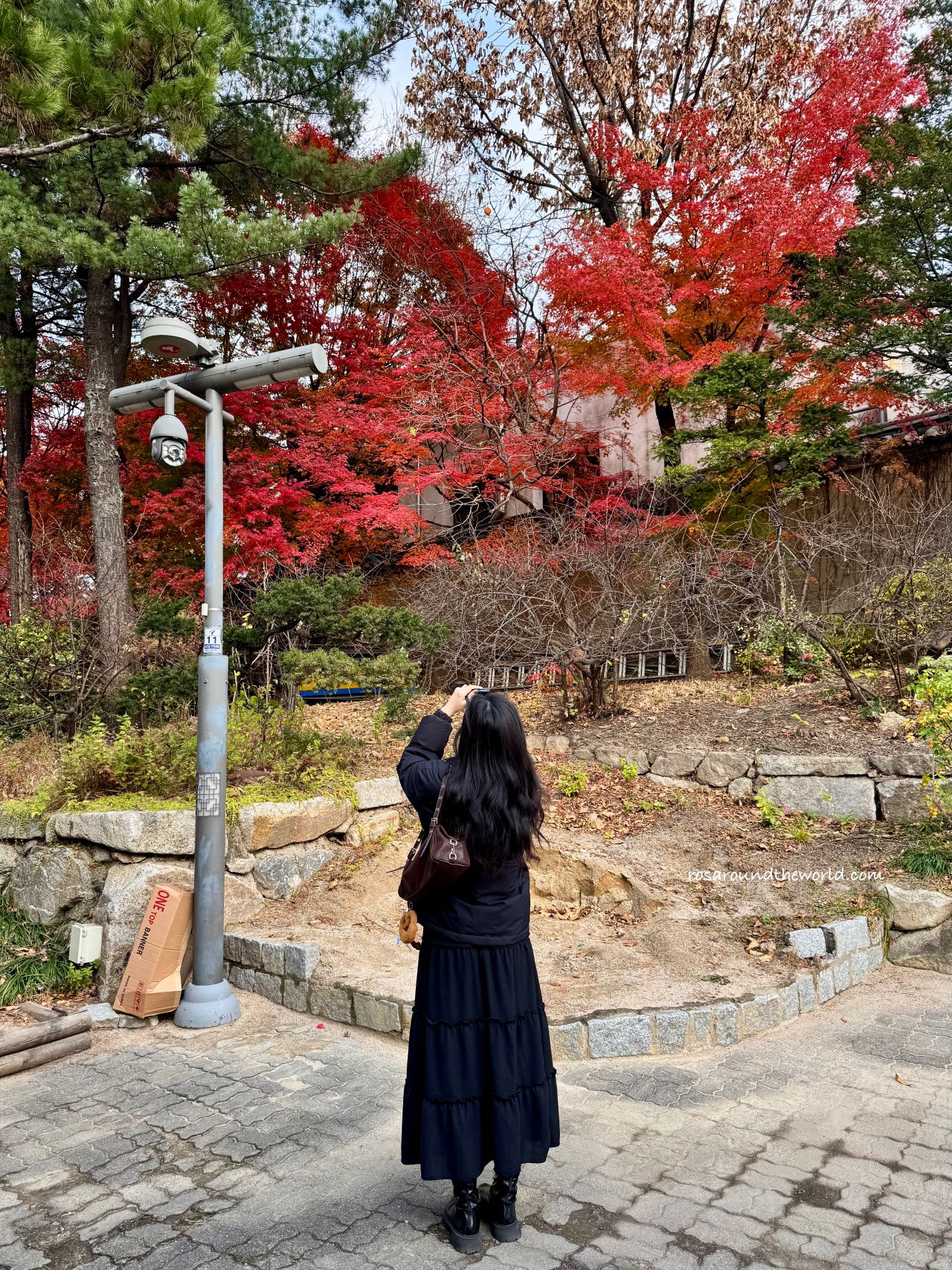 【首爾景點】南山谷韓屋村交通、地圖、韓服攻略，別再只去北村啦！