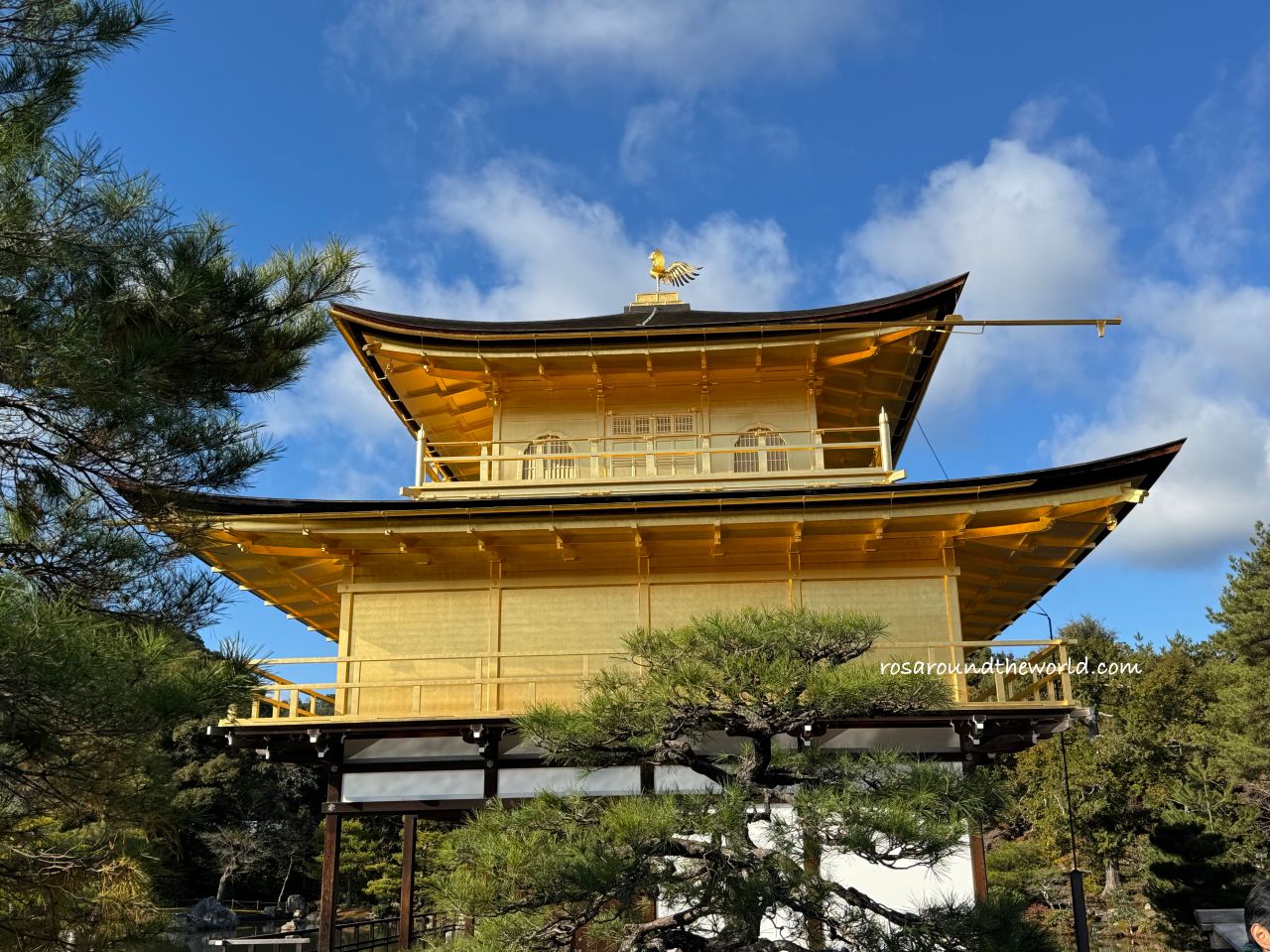 【京都金閣寺半日遊】開放時間、門票、交通＆必買御守